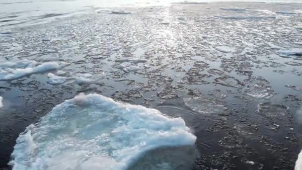 Led je blízko pobřeží zblízka. Led ve studené vodě plave. — Stock video