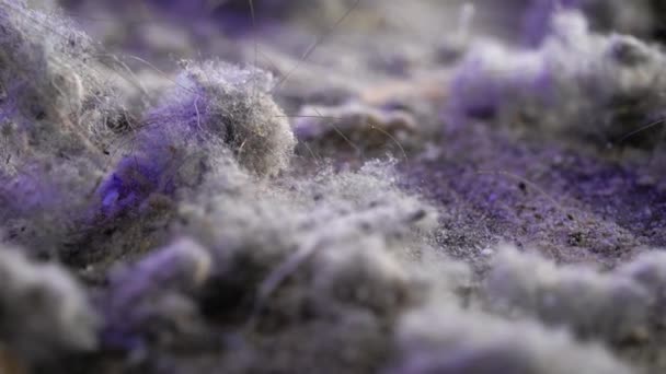 Macro dust shots with hair. The pollution that the vacuum cleaner collects when cleaning an apartment or house. — Stock Video