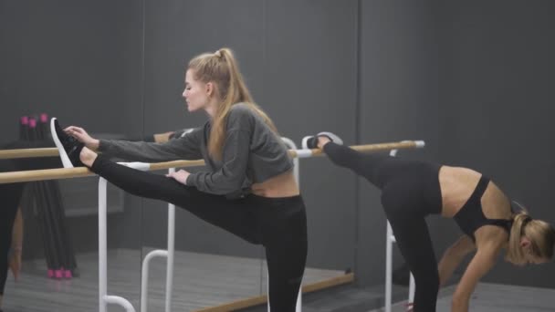 Deux jeunes femmes minces font des étirements. S'étirer avant l'entraînement est très important . — Video