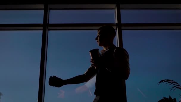 Sterke slanke man tegen de achtergrond van het pan-arm raam. De barman wordt getraind om trucs te doen met shaker en ijs.. — Stockvideo