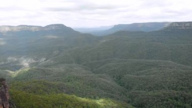 Blue Mountains Ulusal Parkı. Kayalık korulukta güzel doğal manzara.