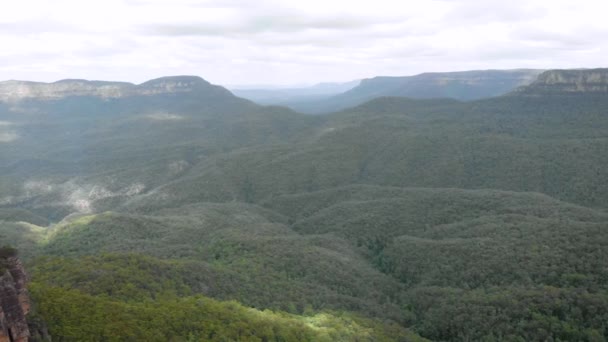 Blue Mountains nationalpark. Smukt naturlandskab i klippefyldt skov . – Stock-video