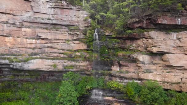 Национальный парк "Голубые горы". Водопад посреди скалы, вокруг зеленых деревьев — стоковое видео