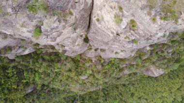 Blue Mountains Ulusal Parkı. Kayalık korulukta güzel doğal manzara.