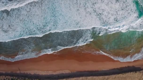 Palm Beach, Ausztrália. Óceánhullámok gördülnek a homokos tengerparton, felülnézetből — Stock videók