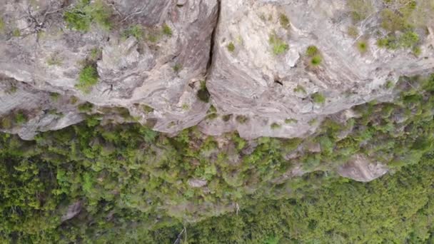 Blue Mountains National Park. Beautiful natural landscape in rocky woodland. — Stock Video