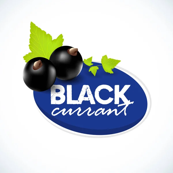 Grosella negra realista con hojas. Etiqueta de grosella negra . — Vector de stock