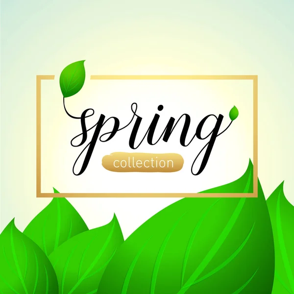 Spring collection illustration — Stock Vector