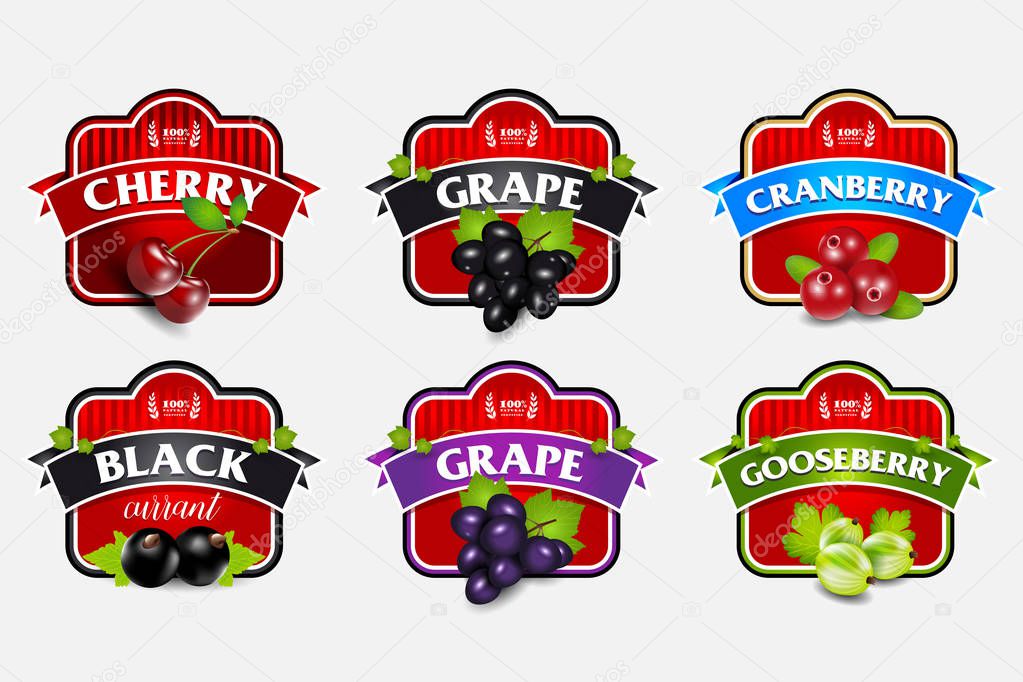 berries labels set 