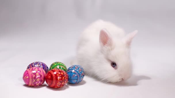 Niedlicher Osterhase und verzierte Eier auf weißem Hintergrund. Weißes Kaninchen. — Stockvideo