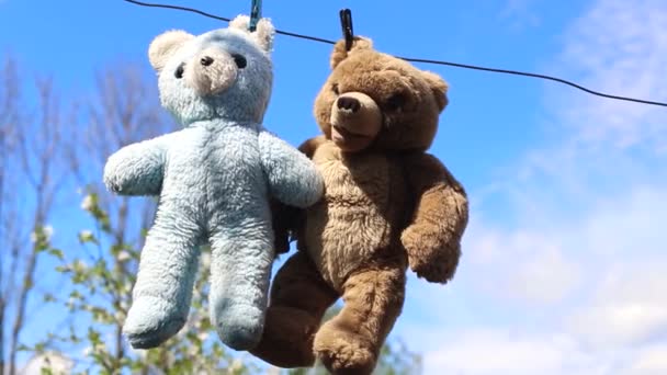 Верные друзья медведи после стирки, место для рекламного текста — стоковое видео