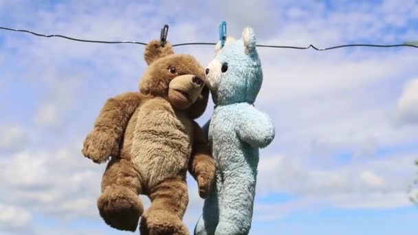 Two teddy bears hang on a rope after — Stock Video