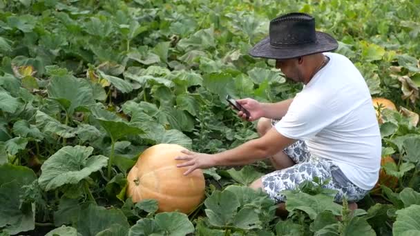 Agriculteur près de la citrouille, jeune agriculteur se réjouit de la récolte — Video