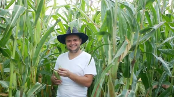 Agricultor ou agrônomo examinando plantas de milho no campo usando smartphone — Vídeo de Stock