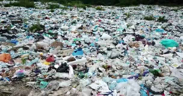Загрязнение бытовых отходов чистых горных рек в Карпатах Украина является огромной проблемой для людей. Специальные рабочие собирают мусор, как символ спасения планеты Земля — стоковое видео