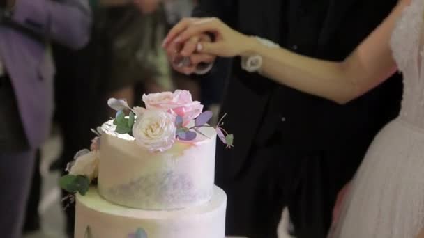 Handen van bruid en bruidegom snijden van een plak van een bruidstaart — Stockvideo