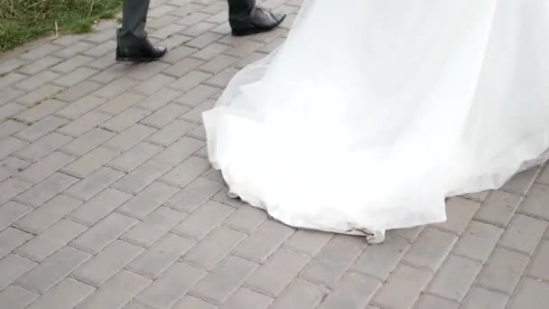 Happy bride and groom on their wedding — Stock Video