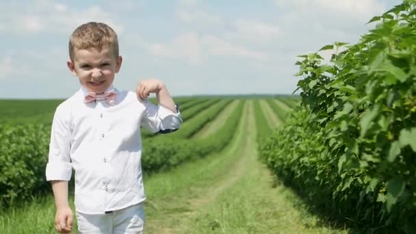 Little Boy While Walking Park Portrait Child Summer Day Happy — Stock Video