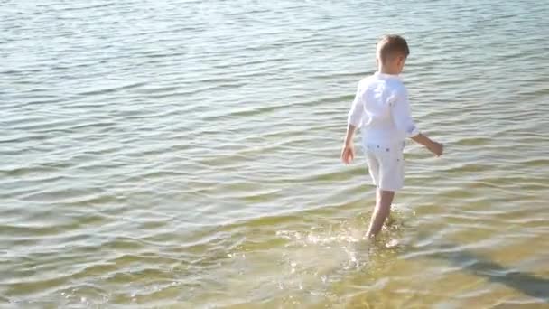 Elegante Menino Criança Andando Praia Tropical Menino Feliz Andando Mar — Vídeo de Stock