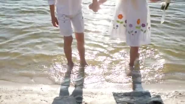 Αγόρι Και Κορίτσι Περπατούν Στη Λίμνη Μια Καλοκαιρινή Μέρα Χαρούμενα — Αρχείο Βίντεο