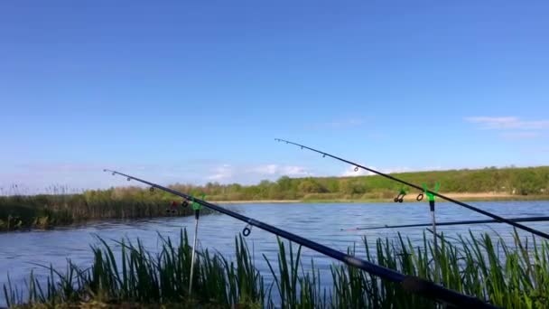 漁師の日だ。美しい朝の湖は釣りのための場所です — ストック動画
