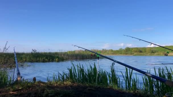 Wędki rybackie podczas wędkowania na jeziorze. — Wideo stockowe