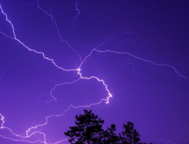 Ağaç tepelerinin üzerinde gece gökyüzünde yıldırım