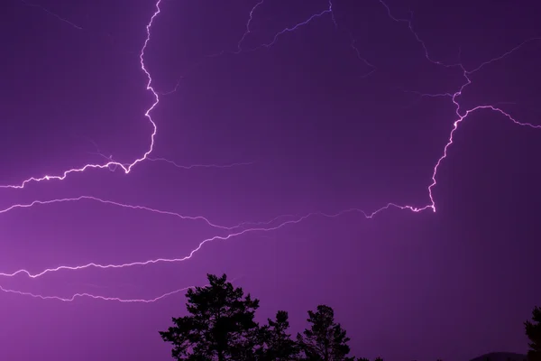 Lightning in the night sky above the treetops