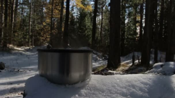 Tasse à vapeur de thé chaud ou de café debout sur la neige dans la forêt . — Video