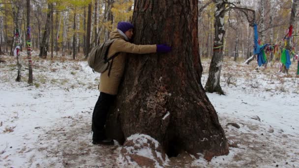 Menina abraçando uma grande árvore velha na floresta de inverno — Vídeo de Stock