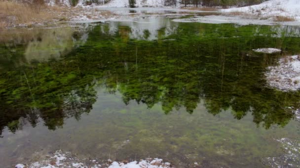 Close-up van het oppervlak van groen meer — Stockvideo