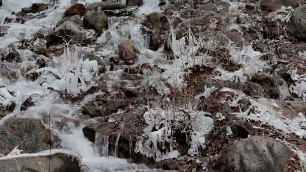 Arroyo de montaña en bosque de invierno. Primer plano — Vídeo de stock