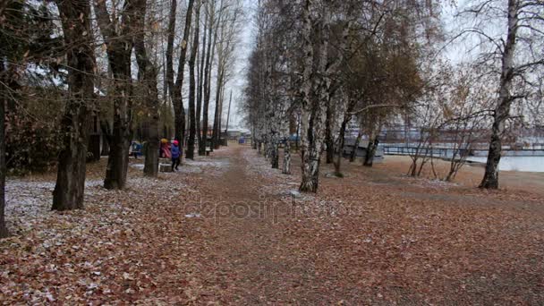 Chica corriendo en el parque de otoño durante el día nublado frío. Mujer haciendo ejercicio al aire libre — Vídeos de Stock