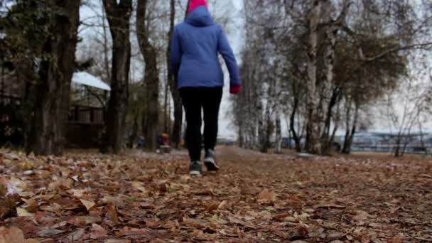 Chica corriendo en el parque de otoño durante el día nublado frío. Mujer haciendo ejercicio al aire libre — Vídeos de Stock