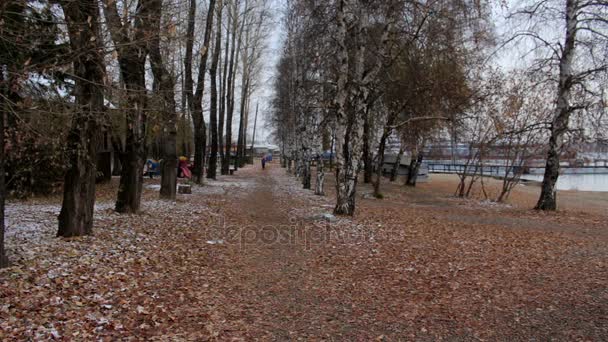 Girl running in autumn park during cold cloudy day. Woman exercising outdoors — Stock Video