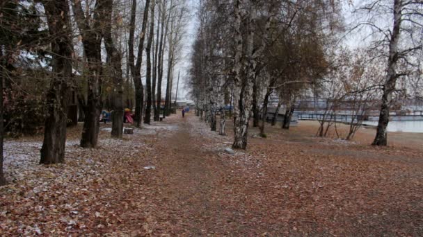 Fille courant dans le parc d'automne par temps froid nuageux. Femme faisant de l'exercice extérieur 