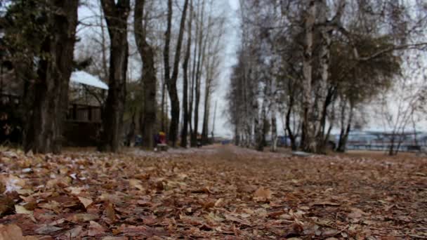 Fille courant dans le parc d'automne par temps froid nuageux. Femme faisant de l'exercice extérieur 