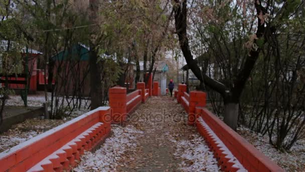 Chica corriendo en el parque de otoño durante el día nublado frío. Mujer haciendo ejercicio al aire libre — Vídeos de Stock