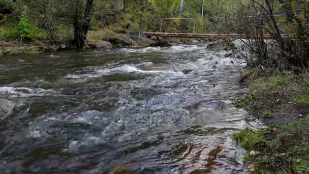 Puente de madera sobre el río de montaña — Vídeo de stock
