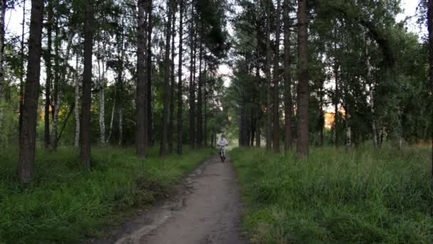 Девушка в спортивной одежде катается на велосипеде в парке . — стоковое видео