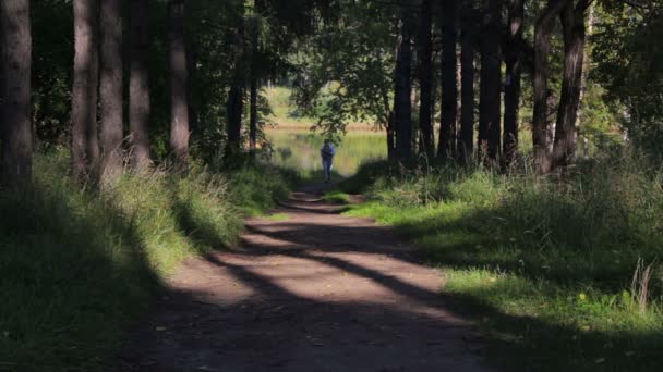 Lány fut végig egy árnyas erdő zöld is. Fiatal nő kocogás a parkban — Stock videók