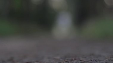 Koşucular ayak close-up. Sporcular spor ayakkabı ayaklarda. Joggers bacak. Bulanıklık