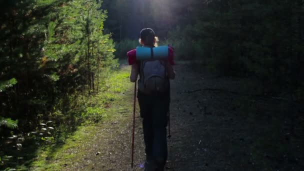 Lány, turisztikai egy hátizsák, séta az erdőben. Gyönyörű mágikus fény — Stock videók