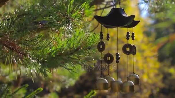 Primer plano campanas de viento balanceándose en el viento en el jardín de otoño. Felicidad, éxito — Vídeos de Stock