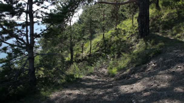 La ragazza sale sulla collina. Una giovane donna va su un sentiero forestale in montagna — Video Stock