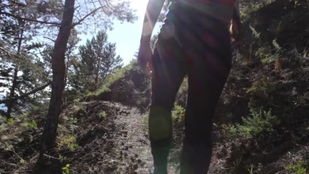 Девушка забирается на холм. Молодая женщина идет по лесной тропе в горах — стоковое видео