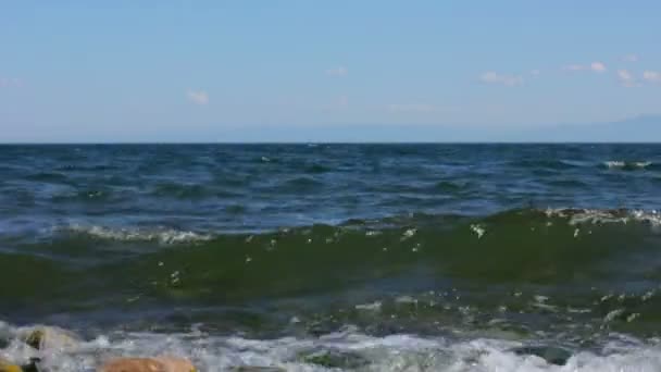 Surfer calmement sur le lac Baïkal. De petites vagues éclaboussent le rivage. Mer, océan, eau — Video