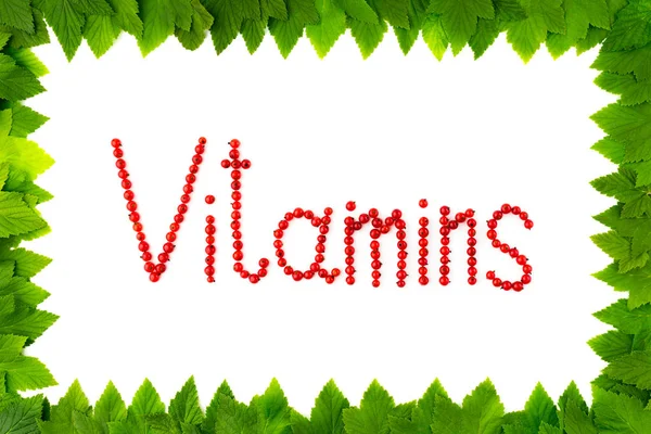 Vitaminler. Yeşil yaprakları çerçevesinden beyaz zemin üzerine kırmızı kuş üzümü çilek