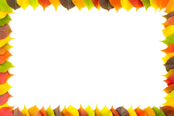 Otoño. Marco fronterizo de hojas otoñales coloridas sobre fondo blanco Fotos De Stock