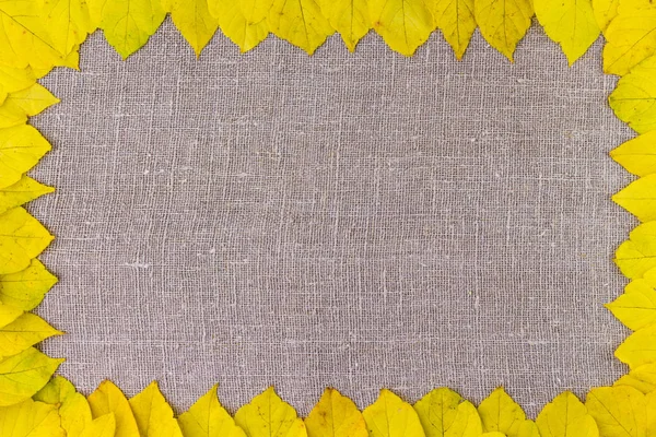 Autumn. Border frame of yellow autumnal leaves on cloth background
